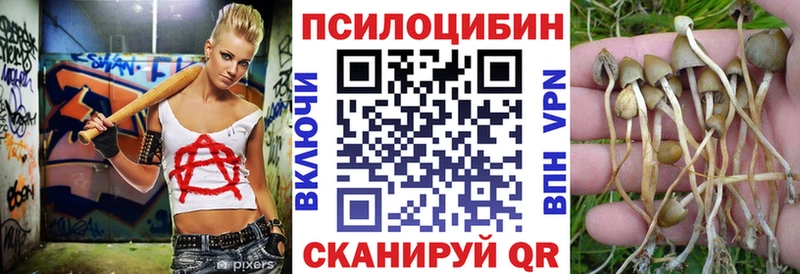 купить наркотики сайты  Козловка  Галлюциногенные грибы мицелий 