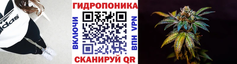 Конопля индика  сколько стоит  Козловка 